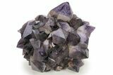 Deep Purple Amethyst Crystal Cluster With Huge Crystals #250925-3